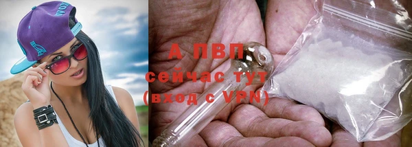 ГАЛЛЮЦИНОГЕННЫЕ ГРИБЫ Лихославль