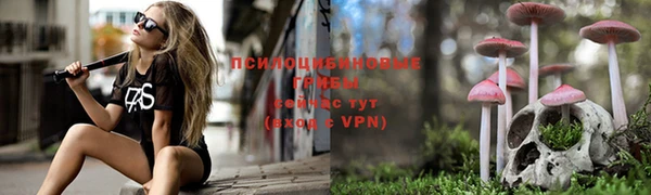 PSILOCYBIN Лиски