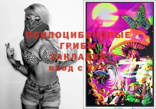 PSILOCYBIN Лиски