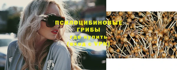 PSILOCYBIN Лиски