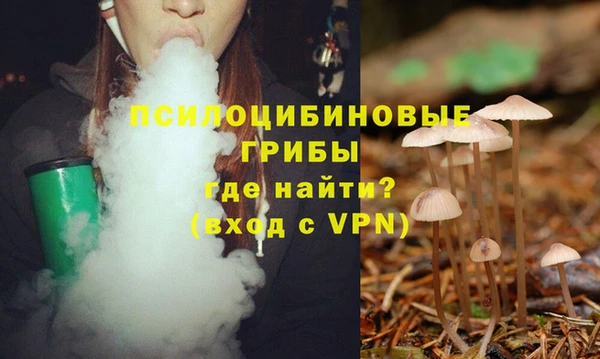 ГАЛЛЮЦИНОГЕННЫЕ ГРИБЫ Лихославль