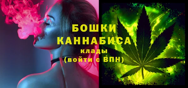 PSILOCYBIN Лиски