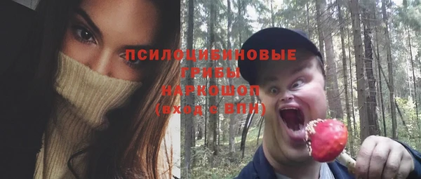 ГАЛЛЮЦИНОГЕННЫЕ ГРИБЫ Лихославль